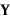 Y