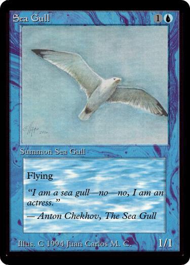 Seagull