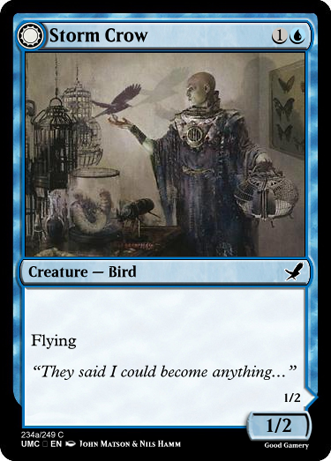 StormCrowTransformA